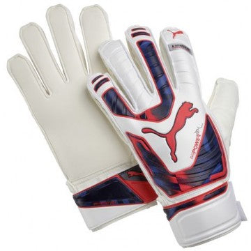 Puma North America Inc, Puma Evo power Protect 3 Glove Wh