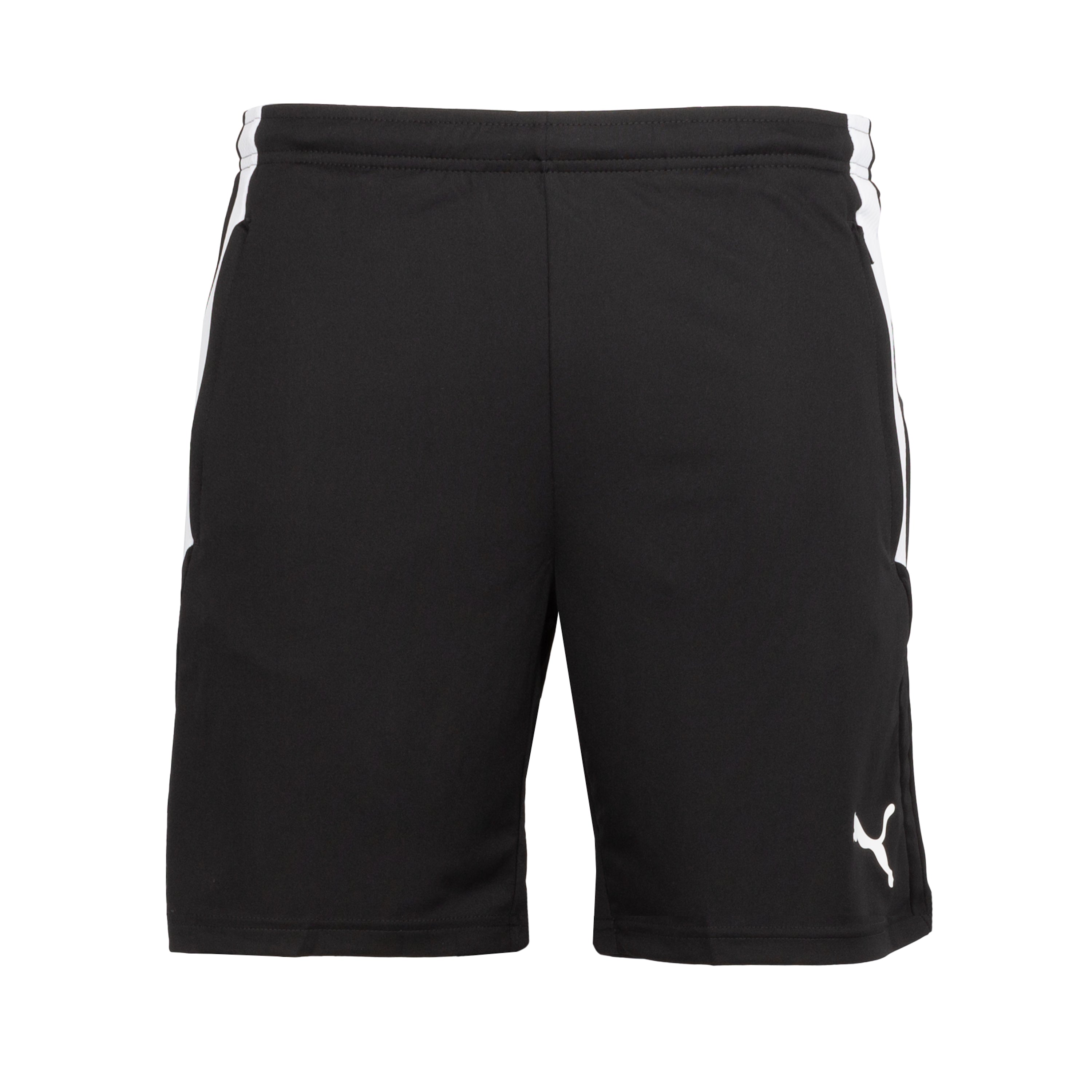 Puma, Short d'entraînement Team Liga - Hommes